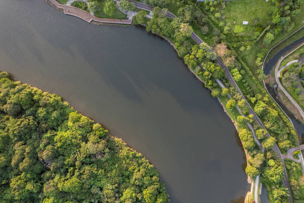 istock Vertical bird's-eye view of the river and trees 1661423281