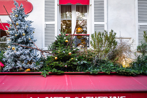 view on decorated christmas trees at facade in monmartre quarter in paris