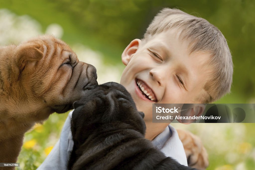 Heureux petit garçon et deux Shar Pei chiens. - Photo de 6-7 ans libre de droits