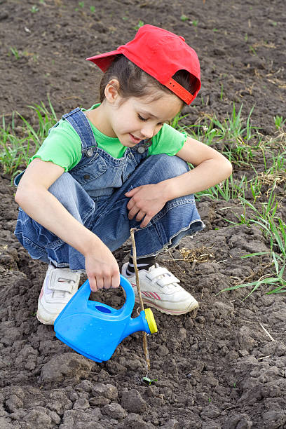 istock Little girl watering the sprout 166142803