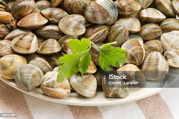 Muscheln Stockfoto und mehr Bilder von Fische und Meeresfrüchte - Fische und Meeresfrüchte, Fotografie, Frische