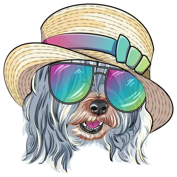 Vector illustration of vector dog Lowchen in straw hat