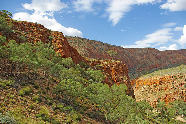 istock Landscape of Central Australia 166144725