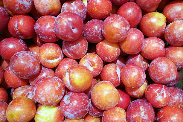 istock Background of red plum 166144827