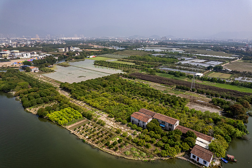 Aerial view of the ecosystem of grasslands and forests in the park