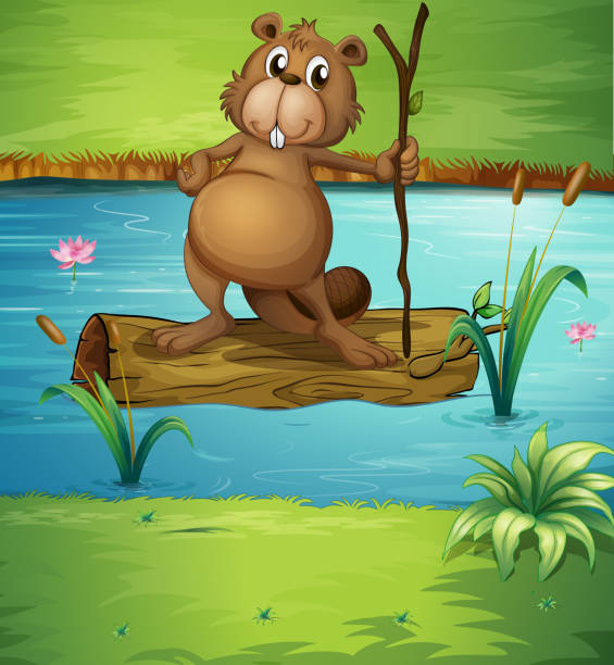 ilustraciones, imágenes clip art, dibujos animados e iconos de stock de beaver retención de madera en el río - computer graphic image stick tree trunk