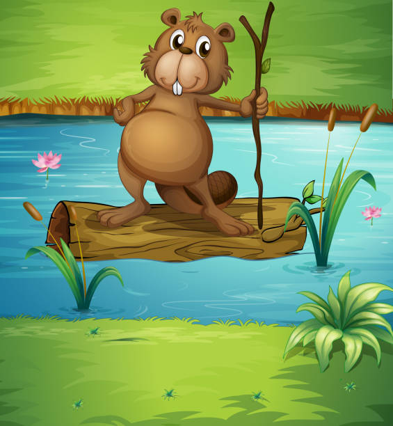 ilustrações, clipart, desenhos animados e ícones de beaver segurando madeira no rio - computer graphic image stick tree trunk
