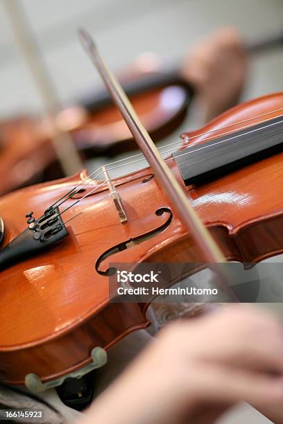 バイオリン - エンタメ総合のストックフォトや画像を多数ご用意 - エンタメ総合, バイオリン, パフォーマンス