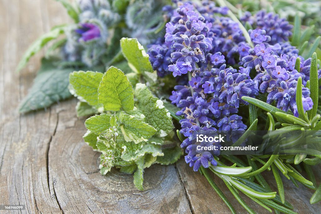 herbs fresh herbs on wooden ground Borage Stock Photo