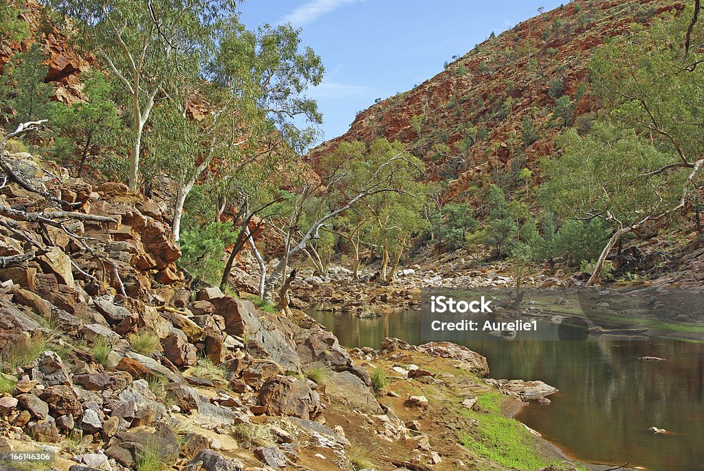 Landscape of Central Australia View of stream and trees in the desert of Central Australia,  in the area of the West Macdonnel Ranges Alice Springs Stock Photo