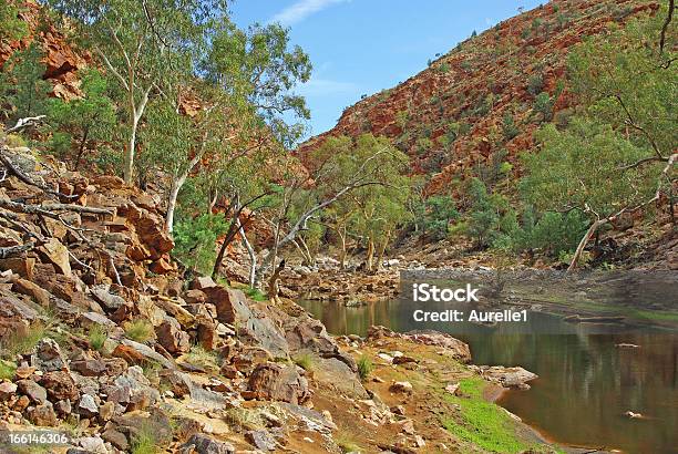 Landscape Of Central Australia Stock Photo - Download Image Now - Alice Springs, Animal Wildlife, Australia