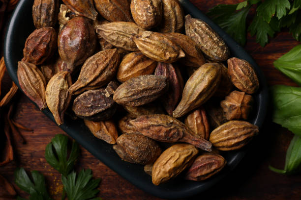 istock Terminalia Chebula a dried Plum Fruit 1661464967