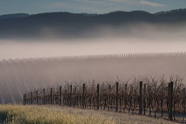 istock Sunrise over Yarra Valley In Winter 166146626