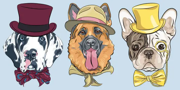 Vector illustration of vector Set 14 of cartoon dogs