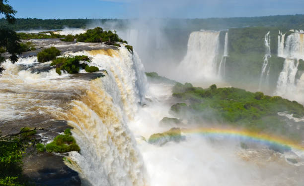istock national parc of iguazu 1661472087