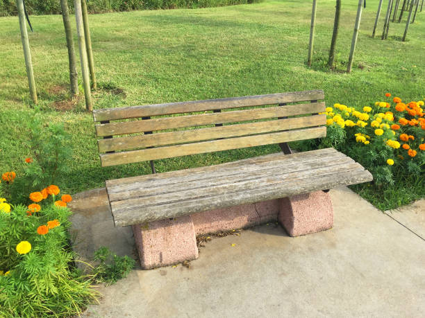 istock Empty park bench in public park with flowers and grass background 1661474581
