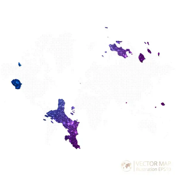 Vector illustration of Seychelles map in geometric wireframe blue with purple polygonal style gradient graphic on white background