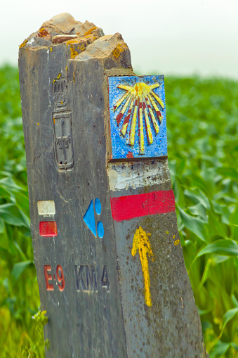 Camino de Santiago milestone, information and directional sign as it goes through Asturias, Spain. Scallop pilgrimage symbol  . Footpath. Stone hiking pole. Corn agricultural field. Tapia de Casariego.