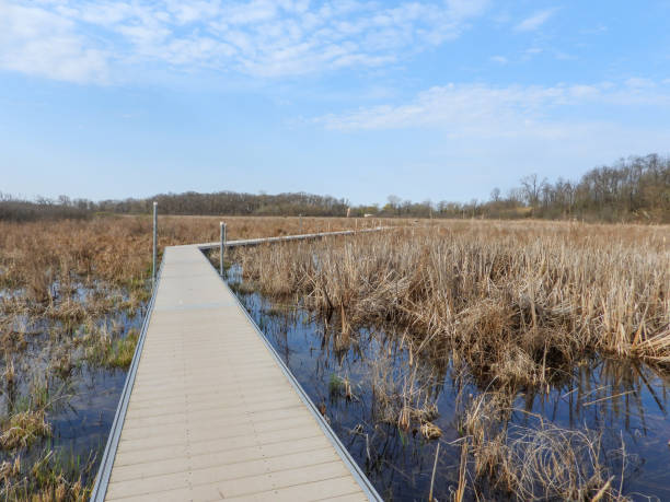 istock Boardwalk Bridge Trail Path Through Volo Bog in Northern Illinois 1661481110
