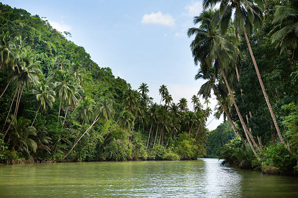 istock Tropical river with palm trees on both shores 166148186
