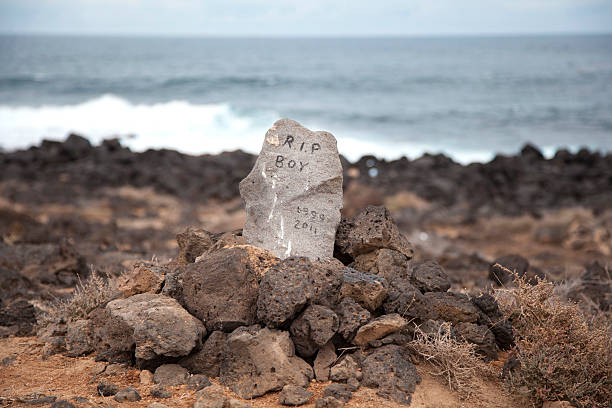 Pet grave Pet grave by the ocean. pet loss stock pictures, royalty-free photos & images