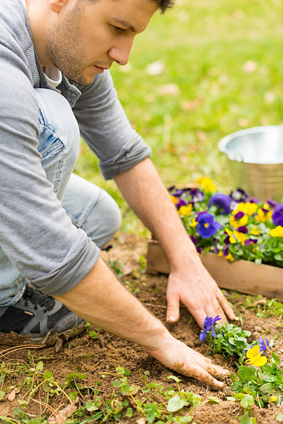 istock Gardener planting flowers 166148470