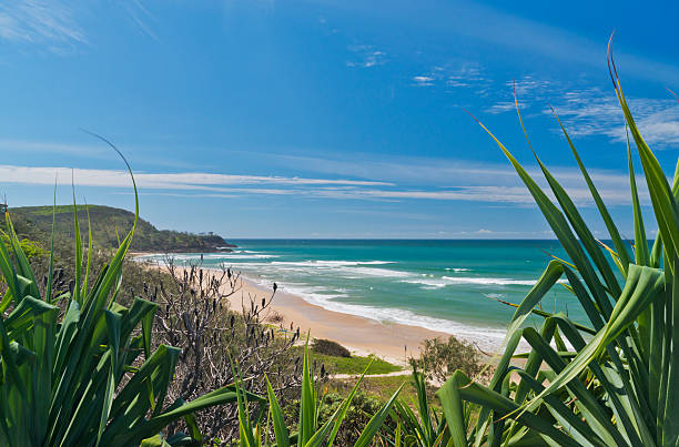 istock Sunshine Beach Queensland 166150020