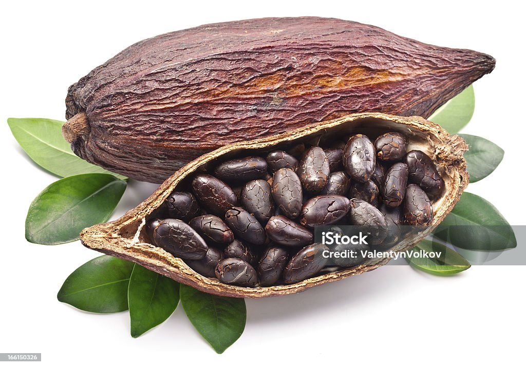 Kakao-pods - Lizenzfrei Baum Stock-Foto