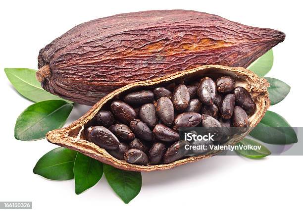 Kakaopods Stockfoto und mehr Bilder von Baum - Baum, Blatt - Pflanzenbestandteile, Bohne