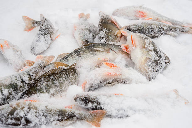 istock fishing in the winter 166150507