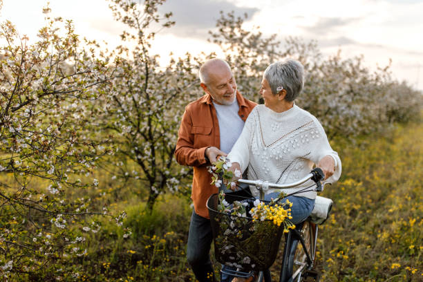 Active senior couple enjoying bicycle ride through cherry tree orchard Active senior couple with bicycles walking through the nature together, enjoying spring blossom and sun on a bright day. man 60s bicycle stock pictures, royalty-free photos & images