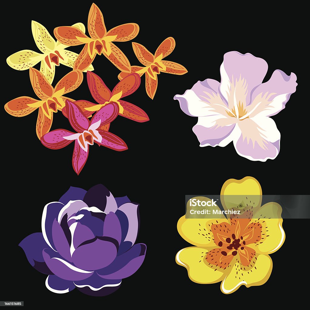 Conjunto de iconos de flores - arte vectorial de Amarillo - Color libre de derechos