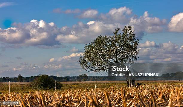 Autumn In Podlasie Stock Photo - Download Image Now - Agricultural Field, Beauty In Nature, Cloud - Sky