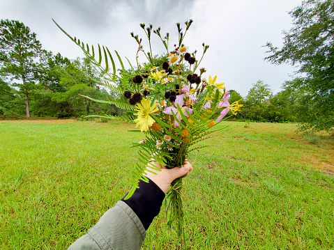 Bouquet of Handpicked Wildflowers in an Unrecognizable Woman's Hand
