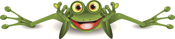 ilustrações, clipart, desenhos animados e ícones de é divertido sapo no seu estômago - frog sideways glance humor desire