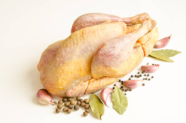 Organic raw guinea fowl with spices guinea fowl stock pictures, royalty-free photos & images