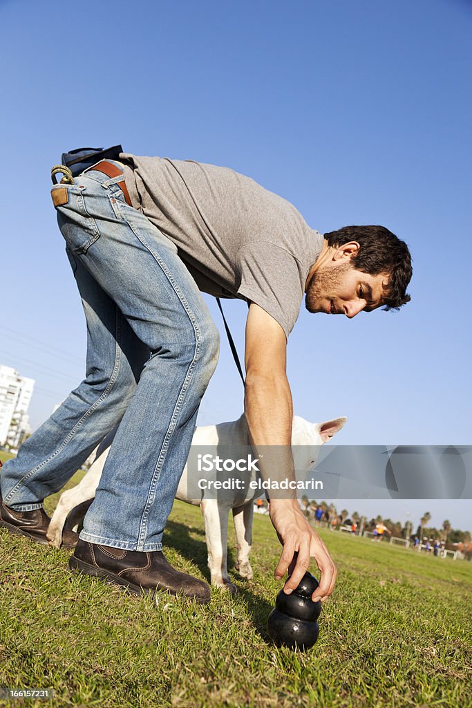 Trainer die Aufgabe Hund Kauen Spielzeug für Bull-Terier im Park - Lizenzfrei Aktivitäten und Sport Stock-Foto