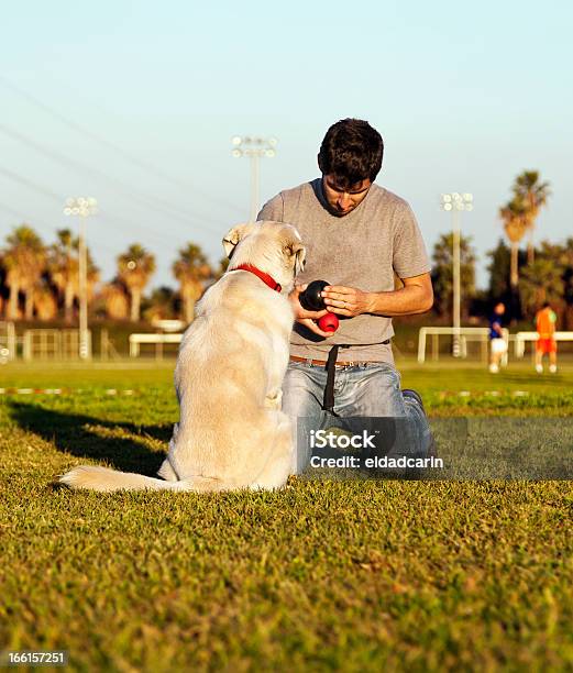 Labrador Dog And Trainer With Chew Toys In Park Stock Photo - Download Image Now - 30-34 Years, 30-39 Years, Activity