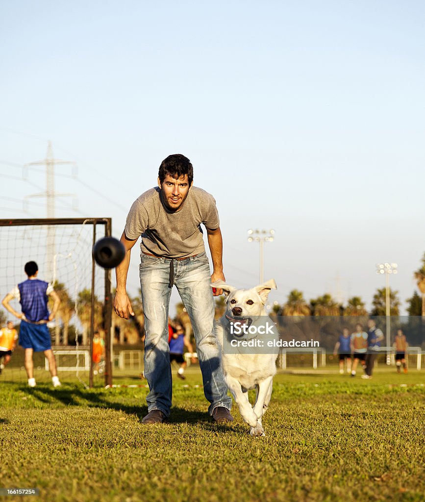Labrador e Trainer con giocattolo cane Chew al Park - Foto stock royalty-free di 30-34 anni