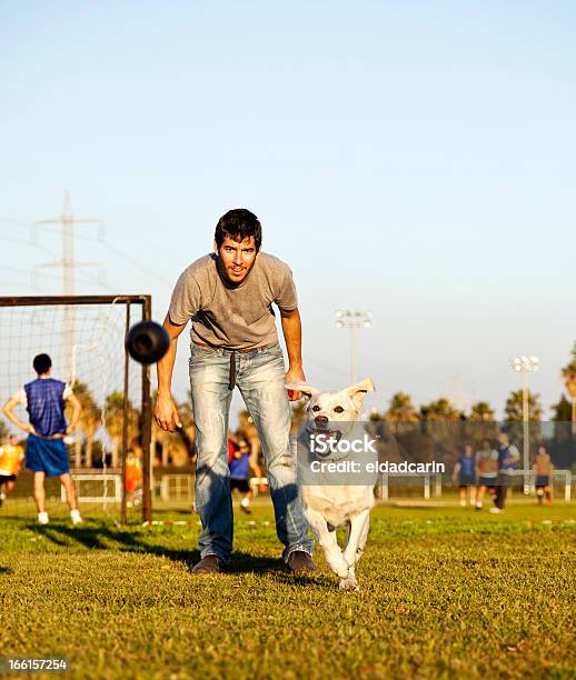 Labrador E Trainer Con Giocattolo Cane Chew Al Park - Fotografie stock e altre immagini di 30-34 anni