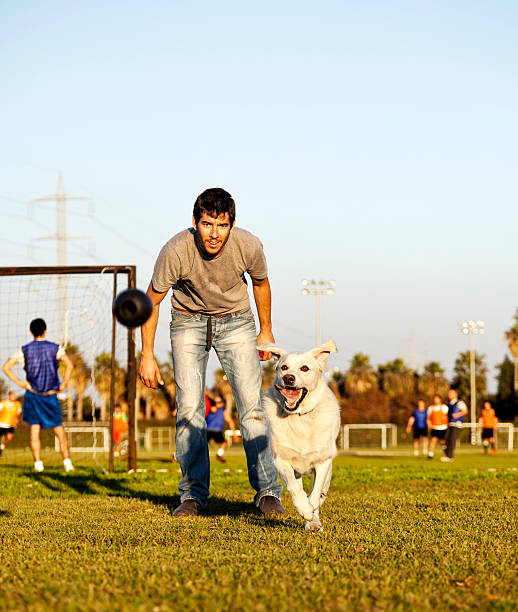 istock Labrador and Trainer with Dog Chew Toy at Park 166157254