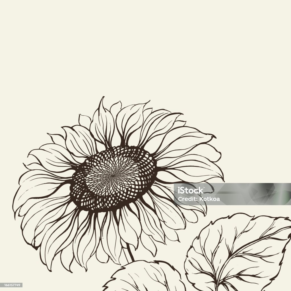 Illustration de tournesol - clipart vectoriel de D'autrefois libre de droits