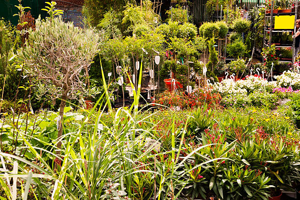 istock Plant Nursery at Mauerpark Flea Market Berlin Germany 166159010