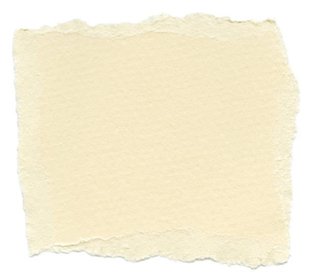 istock Isolated Fiber Paper Texture - Vanilla XXXXL 166159363