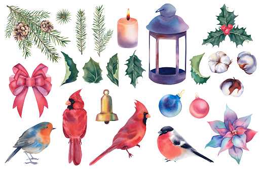 New Year's set of bullfinch, cardinal bird, robin, mistletoe, fir branches and cones, bow, lantern and candle, cotton, poinsettia, Christmas balls and bell. Christmas holiday. Watercolor illustration