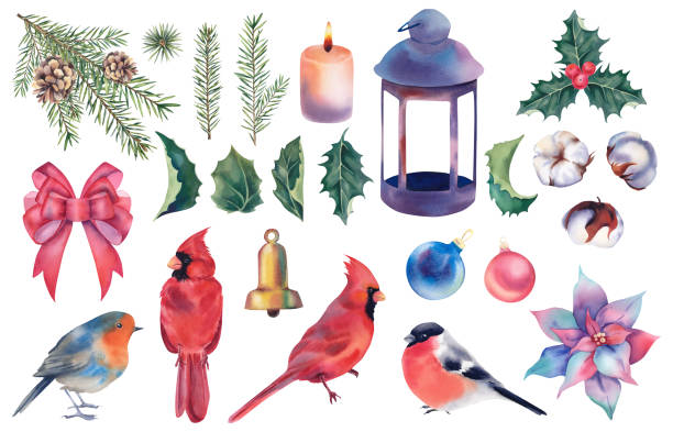 New Year's set of bullfinch, cardinal bird, robin, mistletoe, fir branches and cones, bow, lantern and candle, cotton, poinsettia, Christmas balls and bell. Christmas holiday. Watercolor illustration. New Year's set of bullfinch, cardinal bird, robin, mistletoe, fir branches and cones, bow, lantern and candle, cotton, poinsettia, Christmas balls and bell. Christmas holiday. Watercolor illustration watercolor lantern set stock illustrations