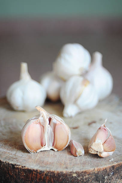 garlic stock photo