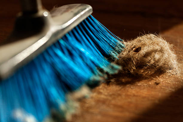 istock Broom, Dust and Fur Ball on Parquet Floor 166160202