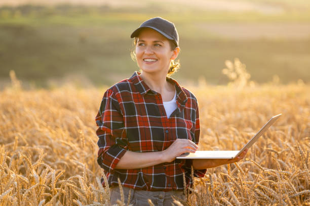 istock Woman farmer working with laptop on wheat field. 1661610976