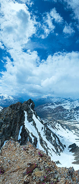 istock Alp flowers  over mountain precipice and clouds 166161833